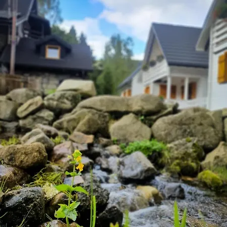 Gorskie Z Sauna, Balia I Dostepem Do Basenu